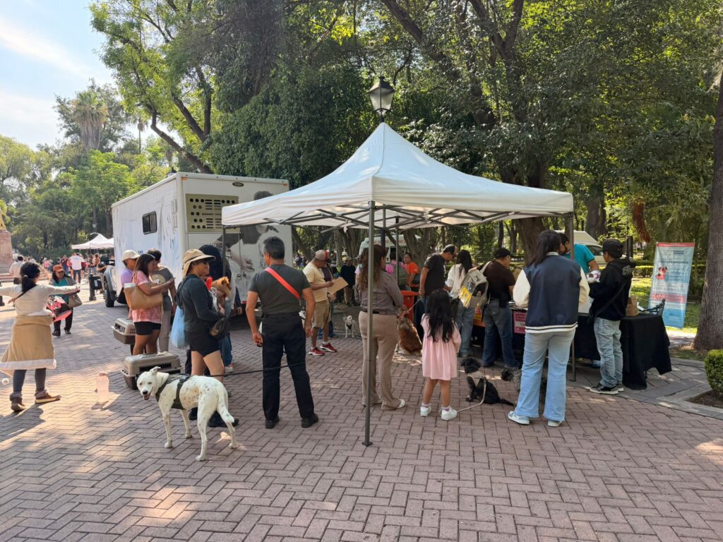 Afiliarán mascotas al sistema Qrobus