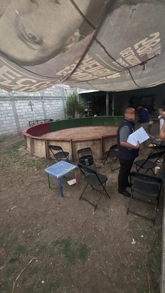 Clausuran palenque clandestino en El Salitre