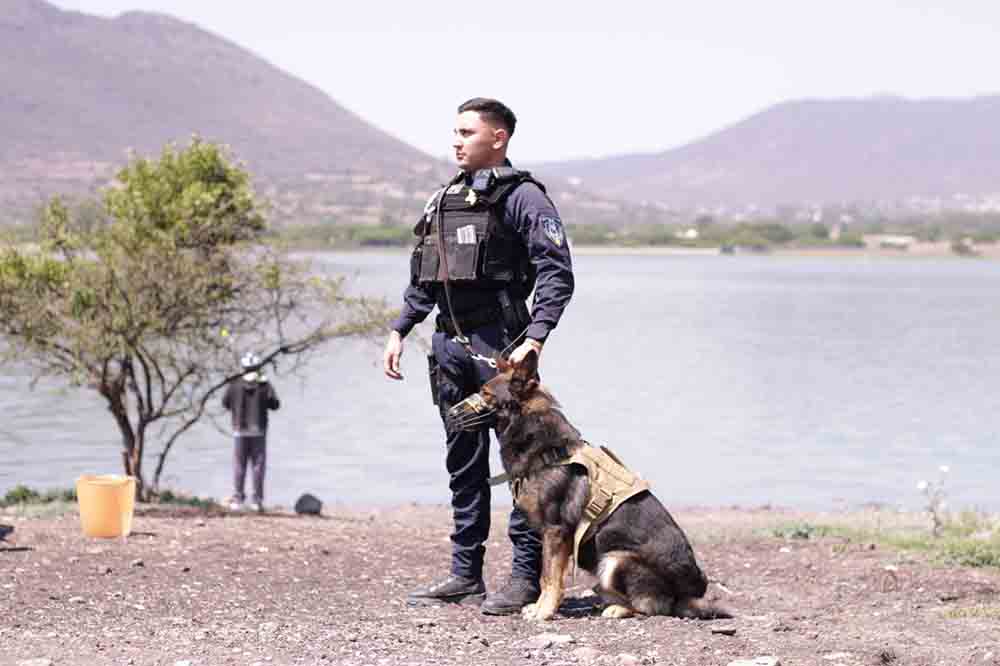 Querétaro mejora 12 posiciones en percepción de seguridad