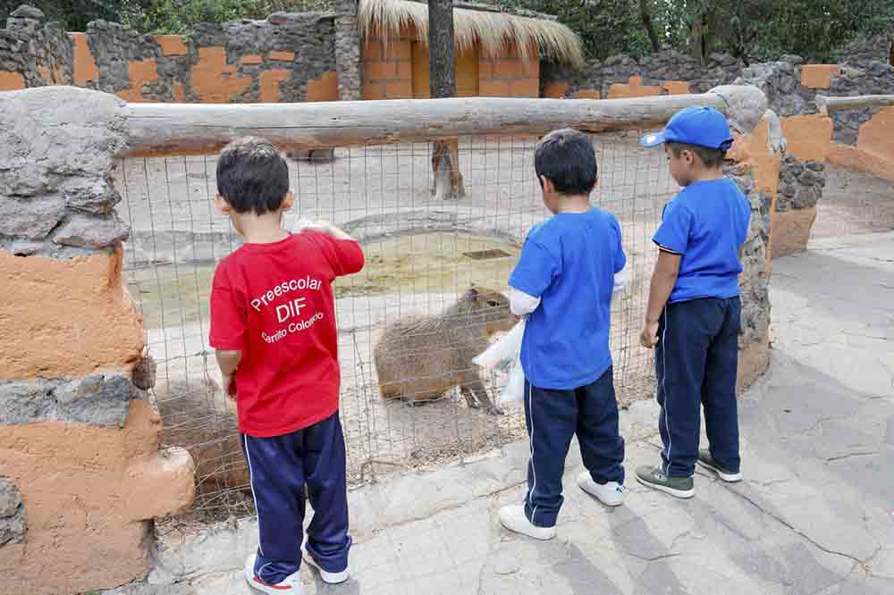 Realizan actividades recreativas para preescolares del DIF