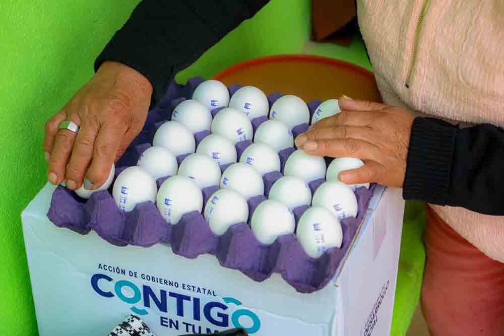 Sonia Rocha entrega apoyos alimentarios en San Joaquín