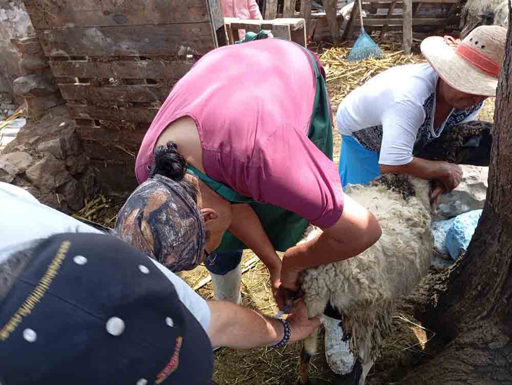 San Juan lleva mejoras y servicios a Llanitos