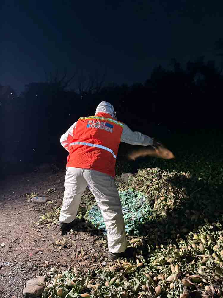 Querétaro refuerza combate contra mosquitos