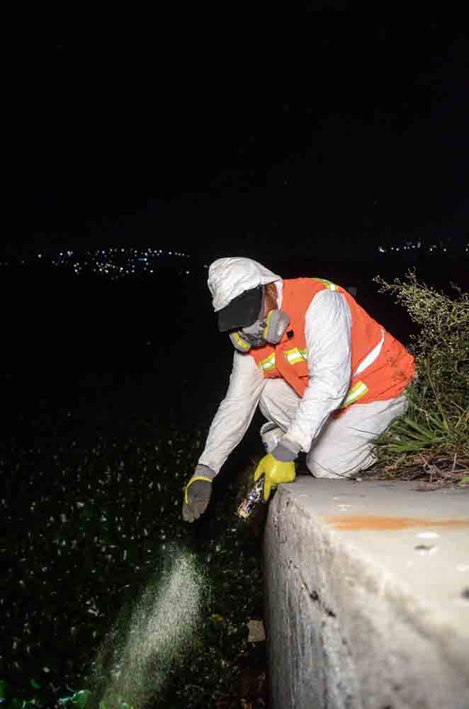 Querétaro refuerza combate contra mosquitos