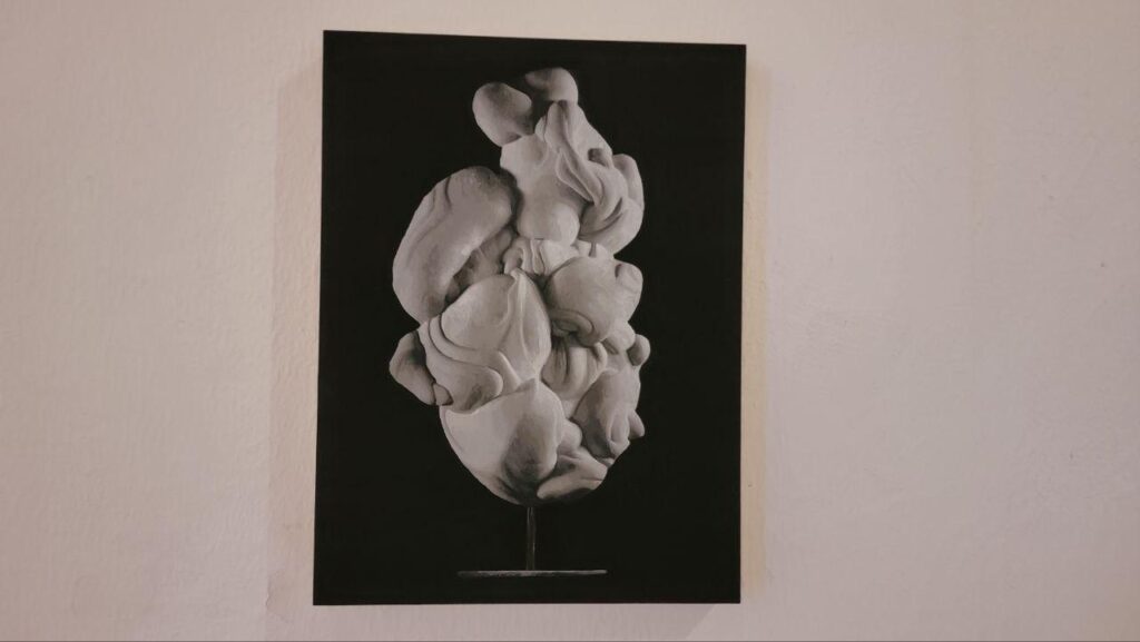 Pinturas Rupestres llega al Museo de la Ciudad