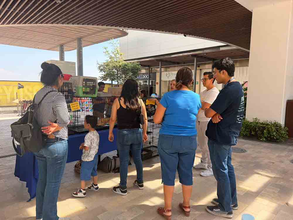 Querétaro refuerza bienestar animal en sus delegaciones