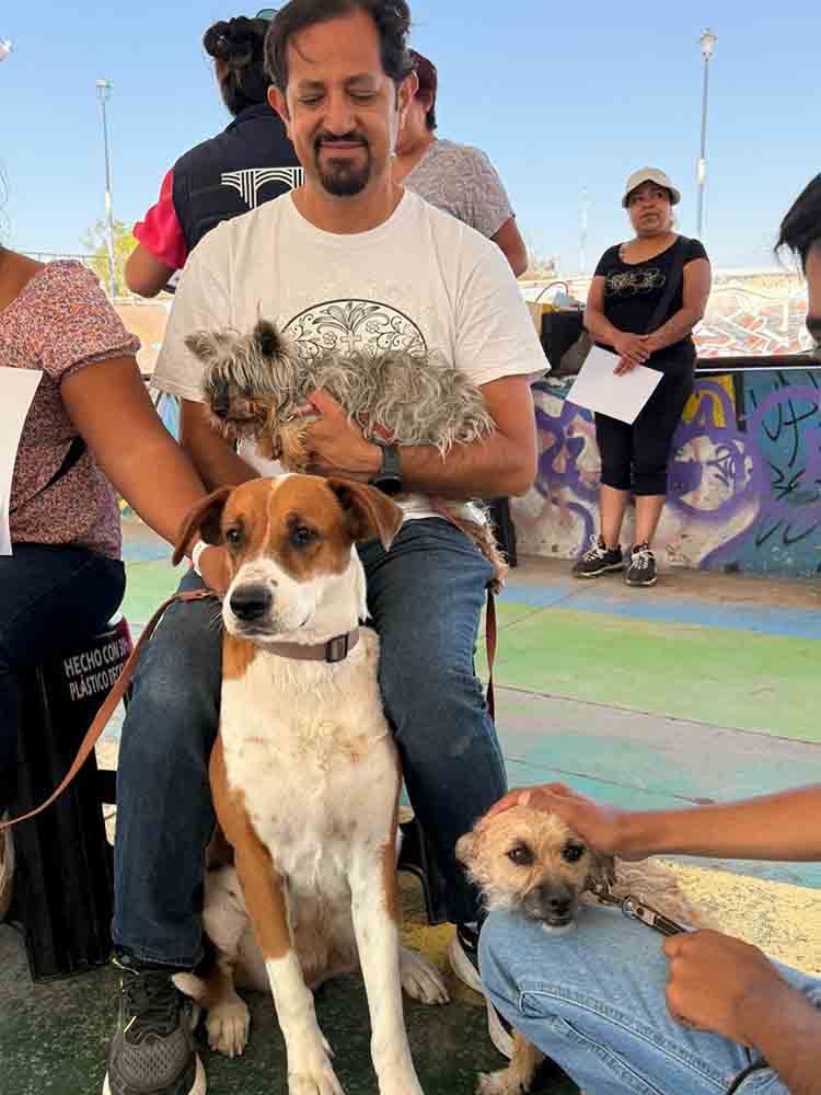 Querétaro refuerza bienestar animal en sus delegaciones