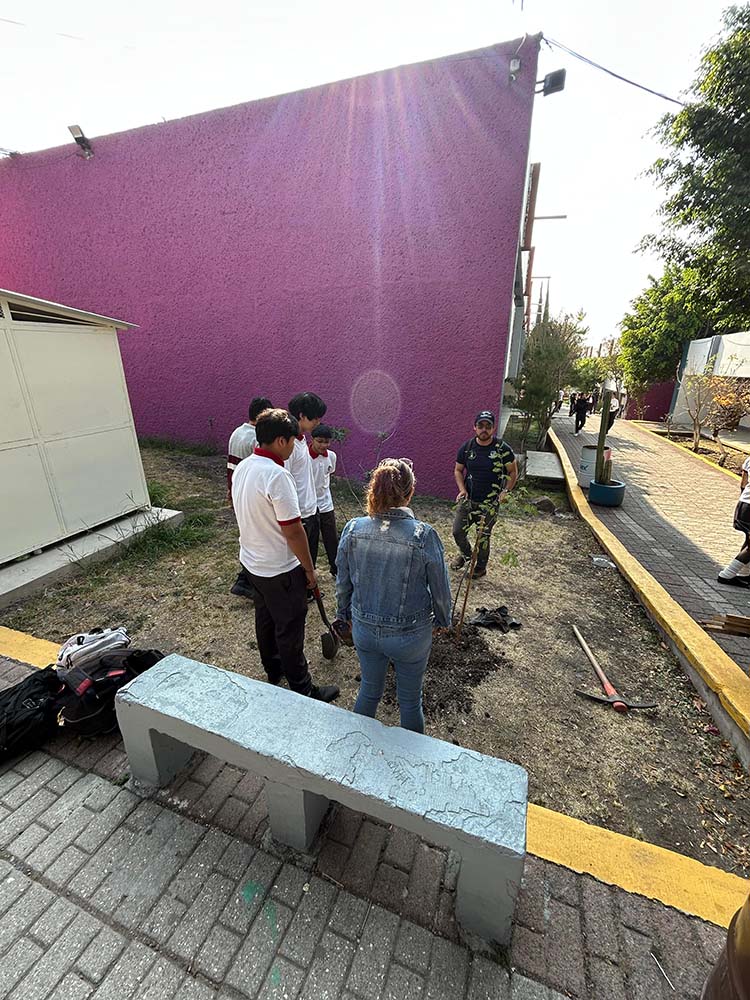 Querétaro realizará reforestaciones en cinco delegaciones