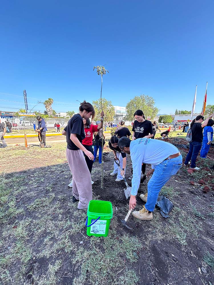 Querétaro realizará reforestaciones en cinco delegaciones