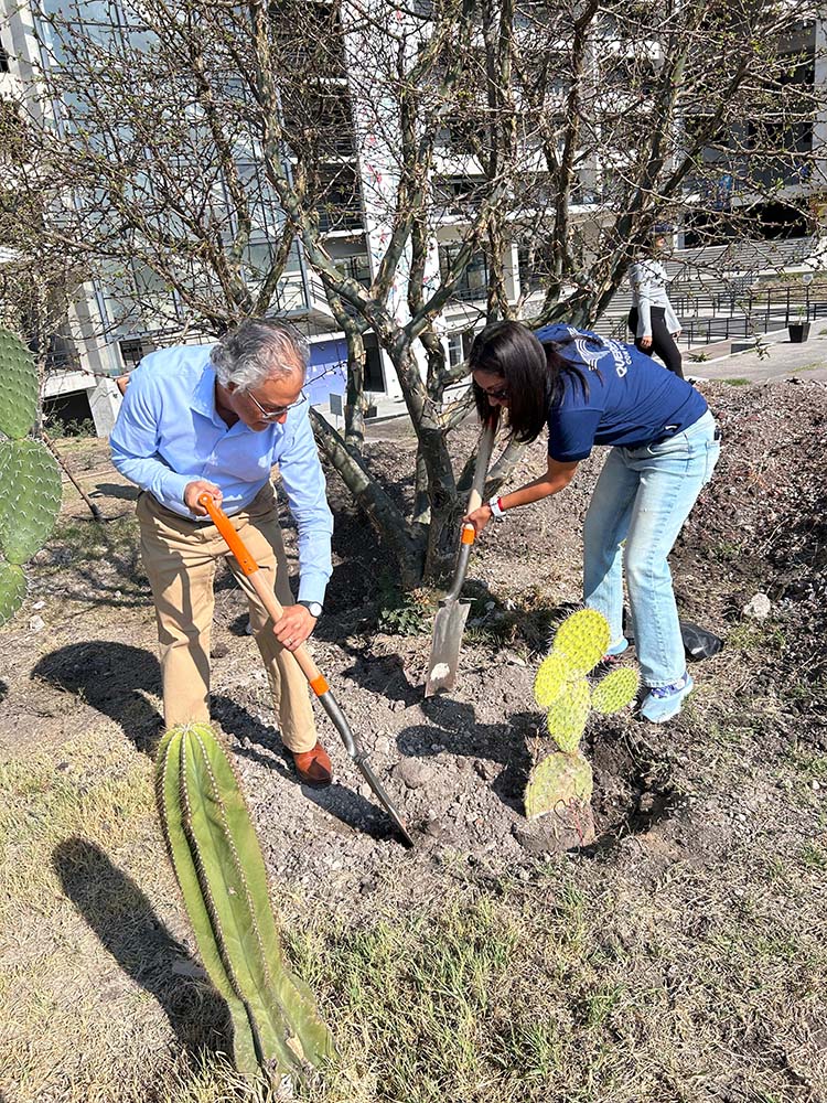 Querétaro realizará reforestaciones en cinco delegaciones