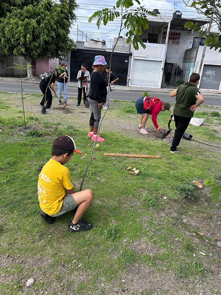 Querétaro realizará reforestaciones en cinco delegaciones