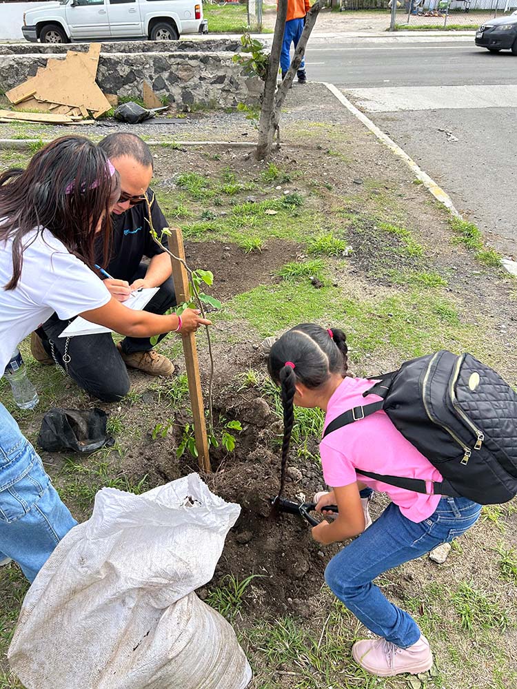Querétaro realizará reforestaciones en cinco delegaciones