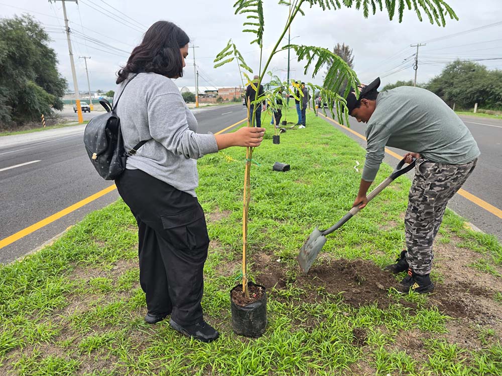 Reforestan camellón frente al Centro Expositor en San Juan