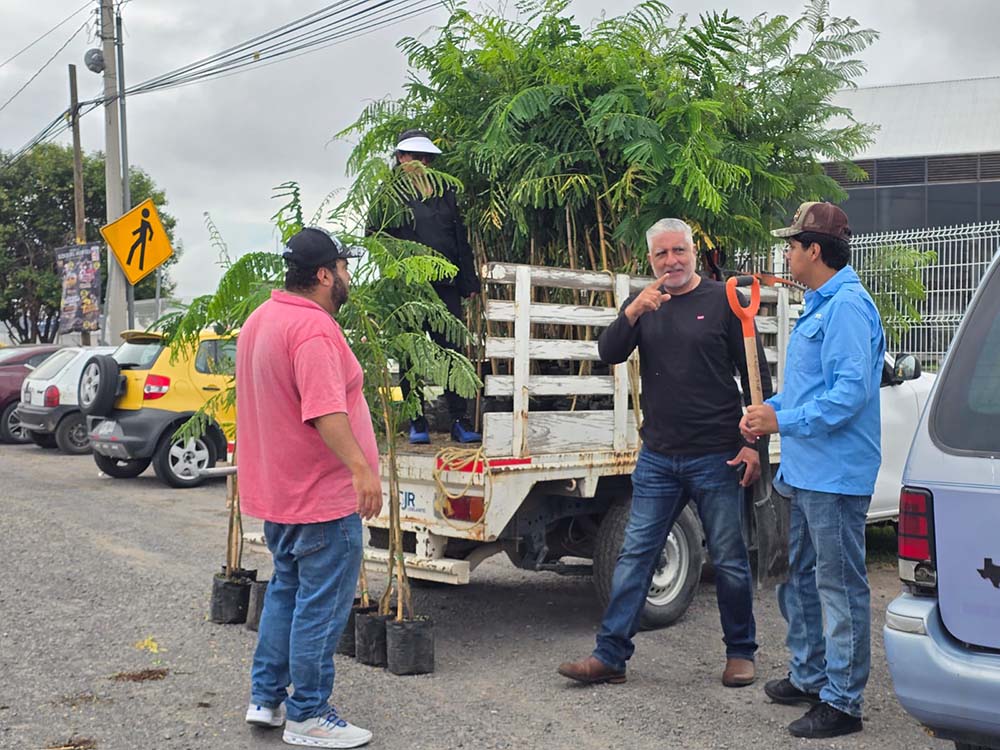 Reforestan camellón frente al Centro Expositor en San Juan