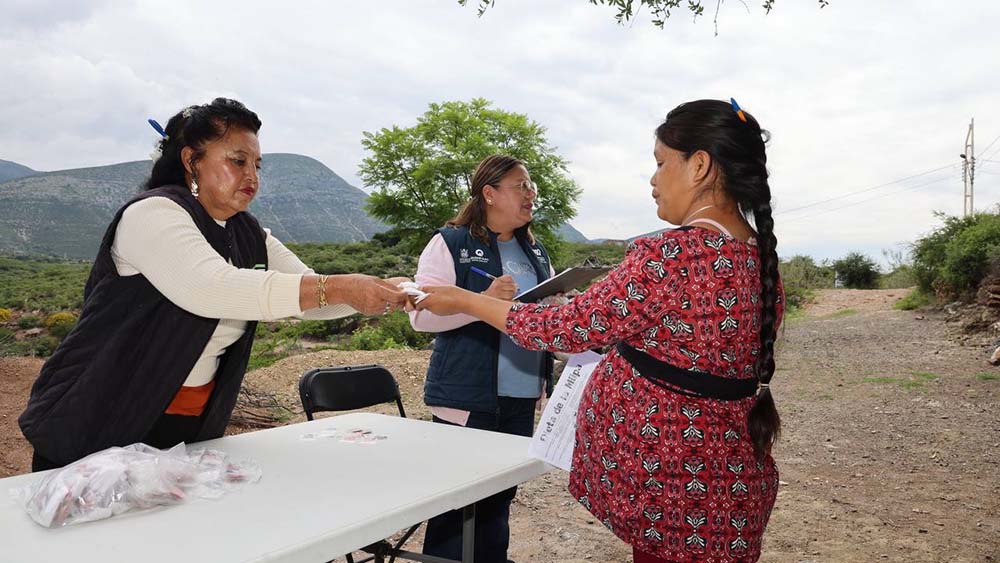 SEDIF entrega semillas en Tolimán a 730 familias