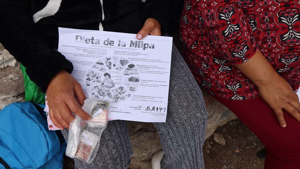 SEDIF entrega semillas en Tolimán a 730 familias