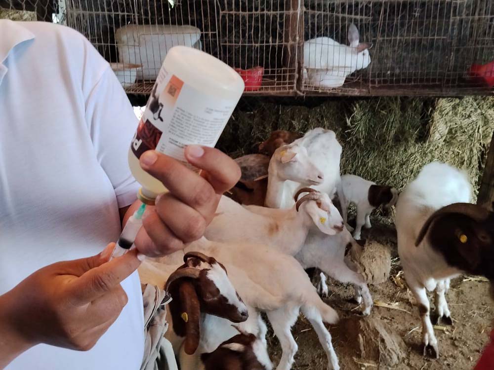 San Juan lleva apoyos a familias de Buenavista