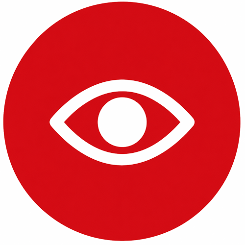 vision