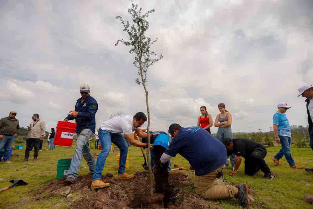 Querétaro suma 350 árboles en La Queretana