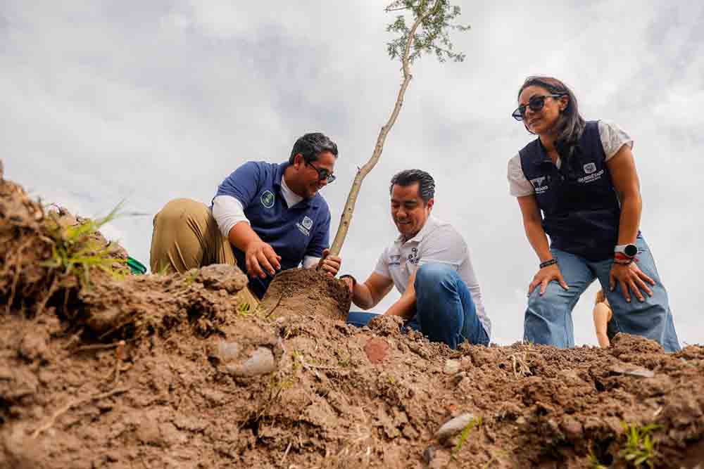 Querétaro suma 350 árboles en La Queretana