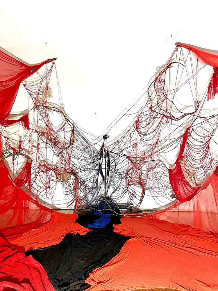 Museo de la Ciudad abre dos muestras gratuitas