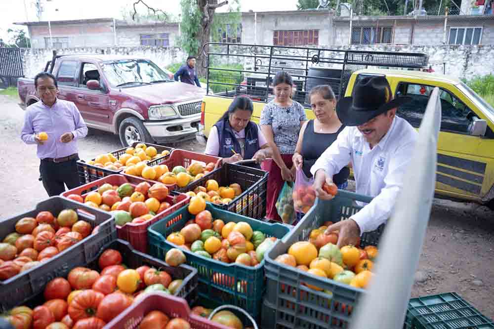 Cerro Gordo recibe 120 solicitudes en jornada municipal