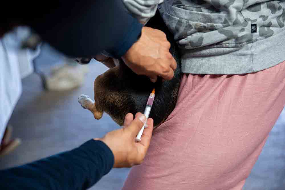 Paso de Mata recibe 150 atenciones municipales