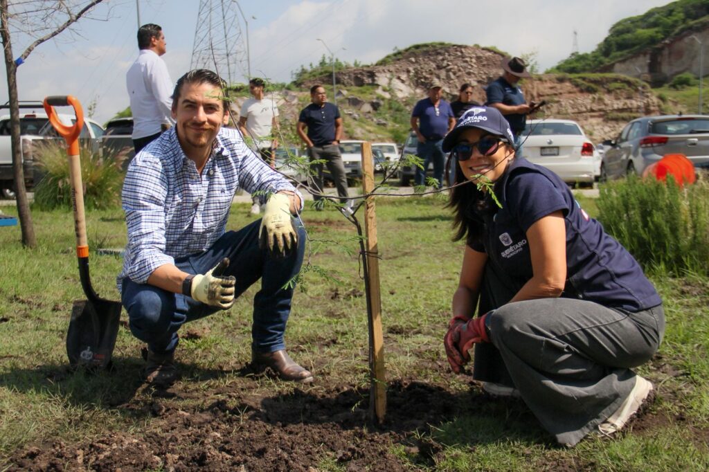 El Municipio de Querétaro realizó una jornada de reforestación en las instalaciones del Centro de Innovación y Tecnología Creativa BLOQUE, donde autoridades municipales, representantes de la iniciativa privada y miembros de la comunidad tecnológica plantaron 40 árboles de especies nativas con el propósito de fortalecer las áreas verdes de la ciudad y promover el cuidado del medio ambiente.