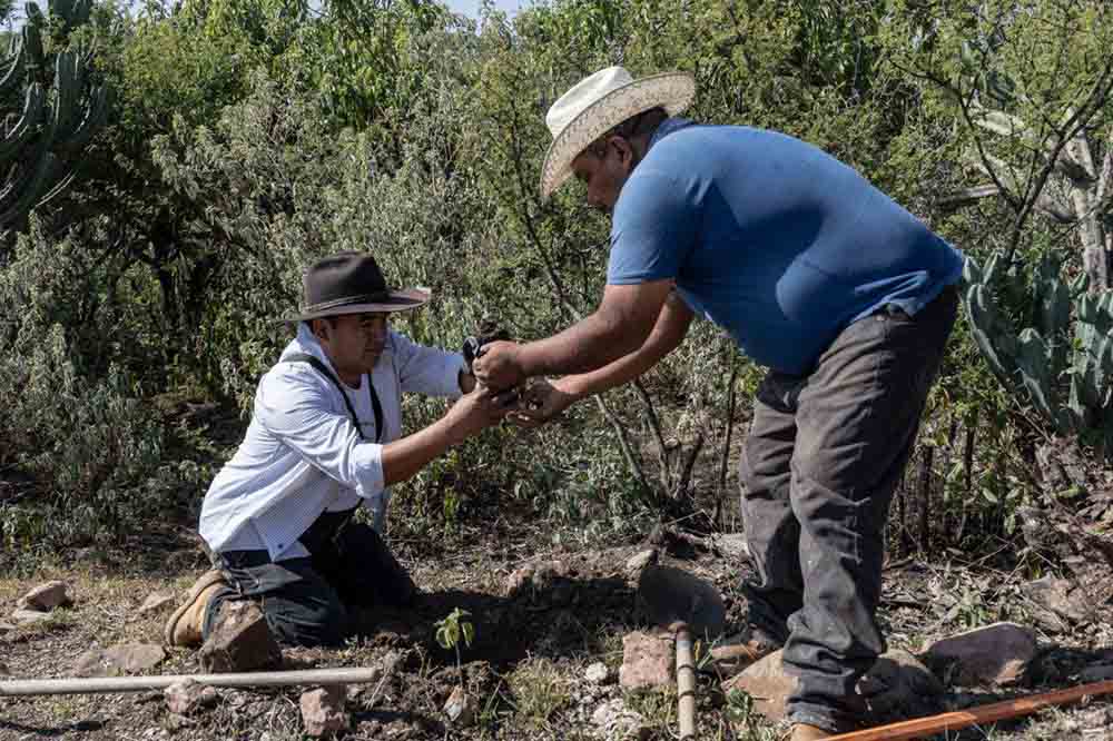 JAPAM planta 1,200 árboles para recargar acuífero