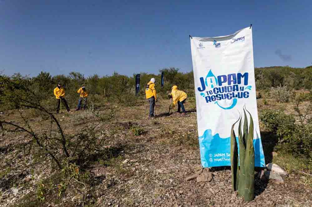 JAPAM planta 1,200 árboles para recargar acuífero