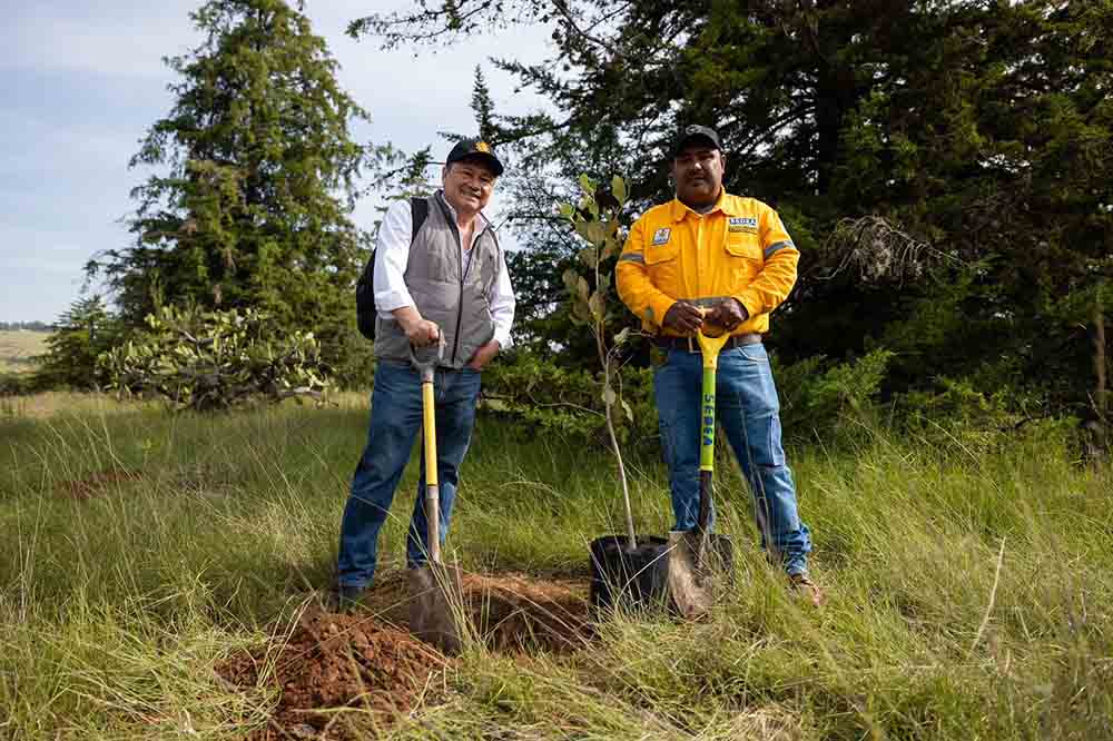 Querétaro suma 2,600 árboles en reforestación nacional