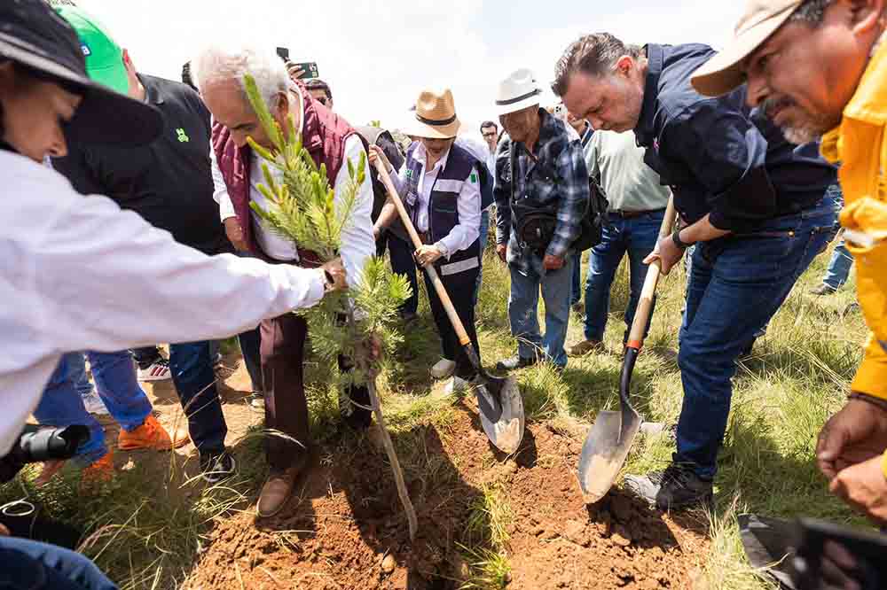 Querétaro suma 2,600 árboles en reforestación nacional