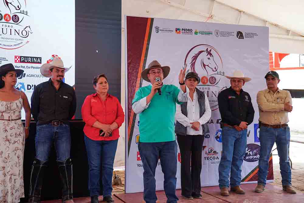 Más de 100 equinos atendidos en Pedro Escobedo