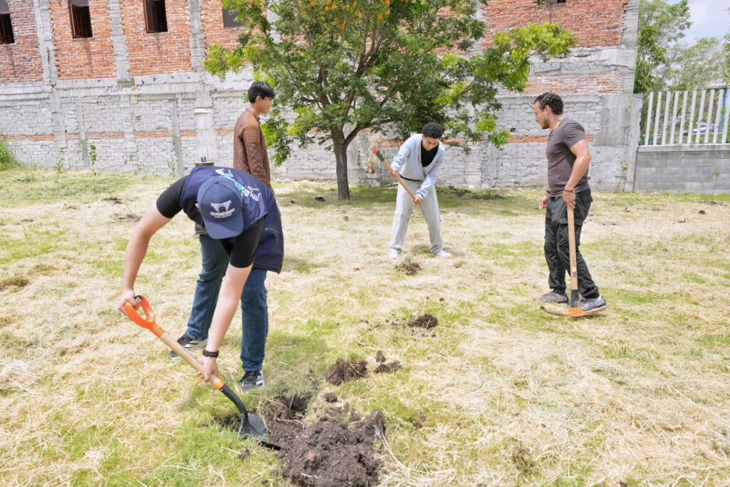 Felifer encabeza reforestación de 150 árboles en Bicentenario