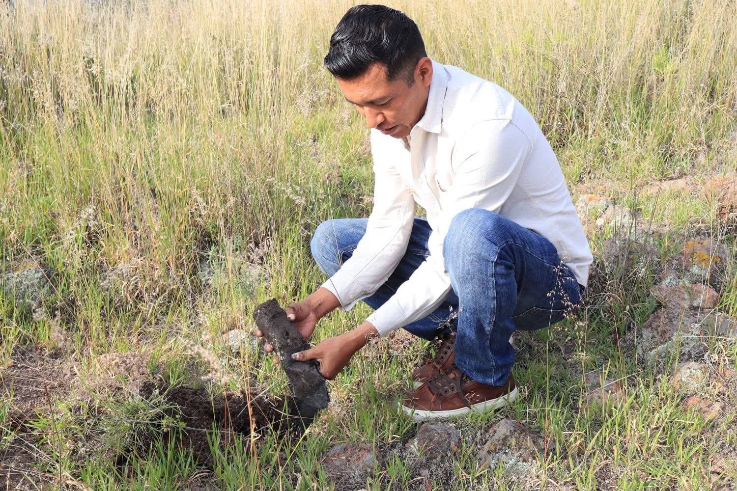 Familias reforestan Maguey Manso en Tolimán