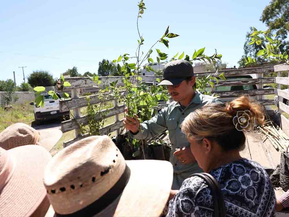 San Pablo Potrerillos recibe jornada con 130 solicitudes
