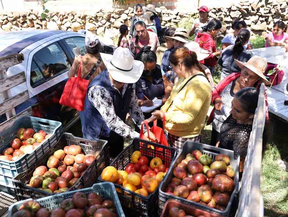 San Pablo Potrerillos recibe jornada con 130 solicitudes