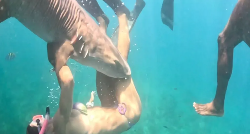 Influencers arriesgan la vida por selfies con tiburones
