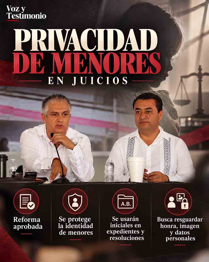 Infografía sobre privacidad e identidad de menores en procedimientos judiciales.