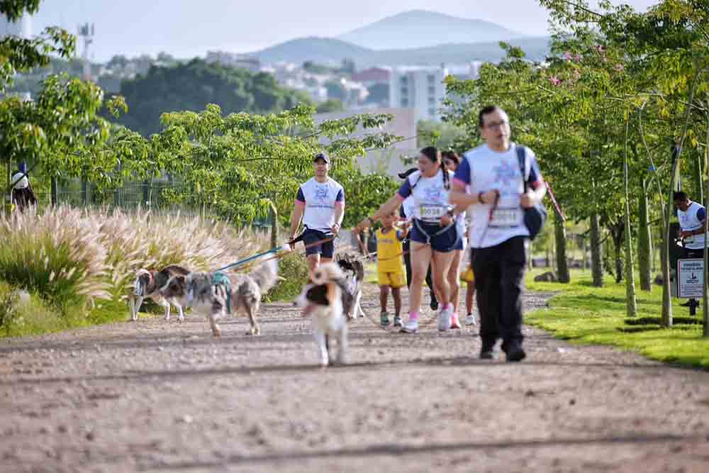 Familias y mascotas participan en actividades de bienestar animal en el parque La Queretana.