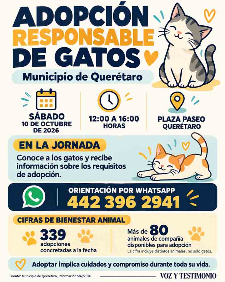Infografía: Paseo Querétaro tendrá jornada de adopción de gatos