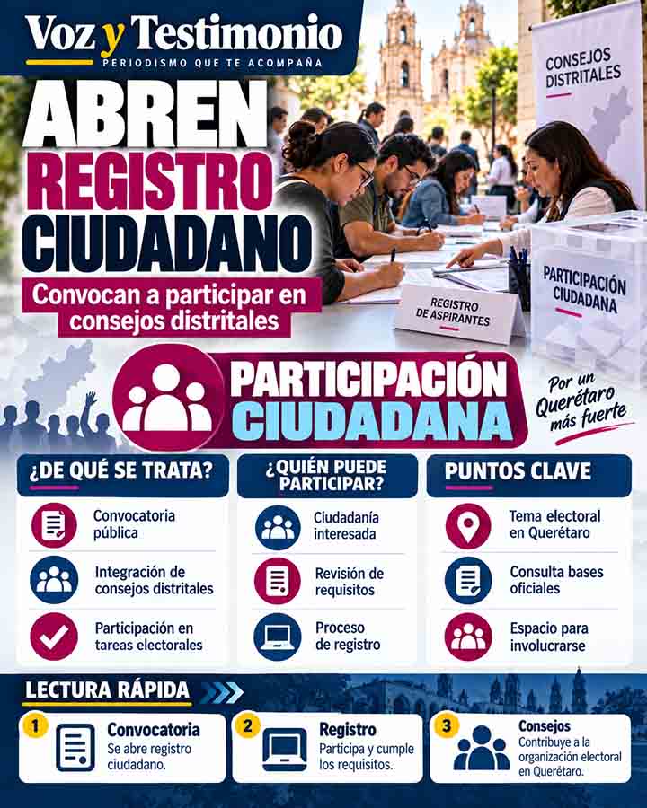 Infografía de participación en consejos distritales