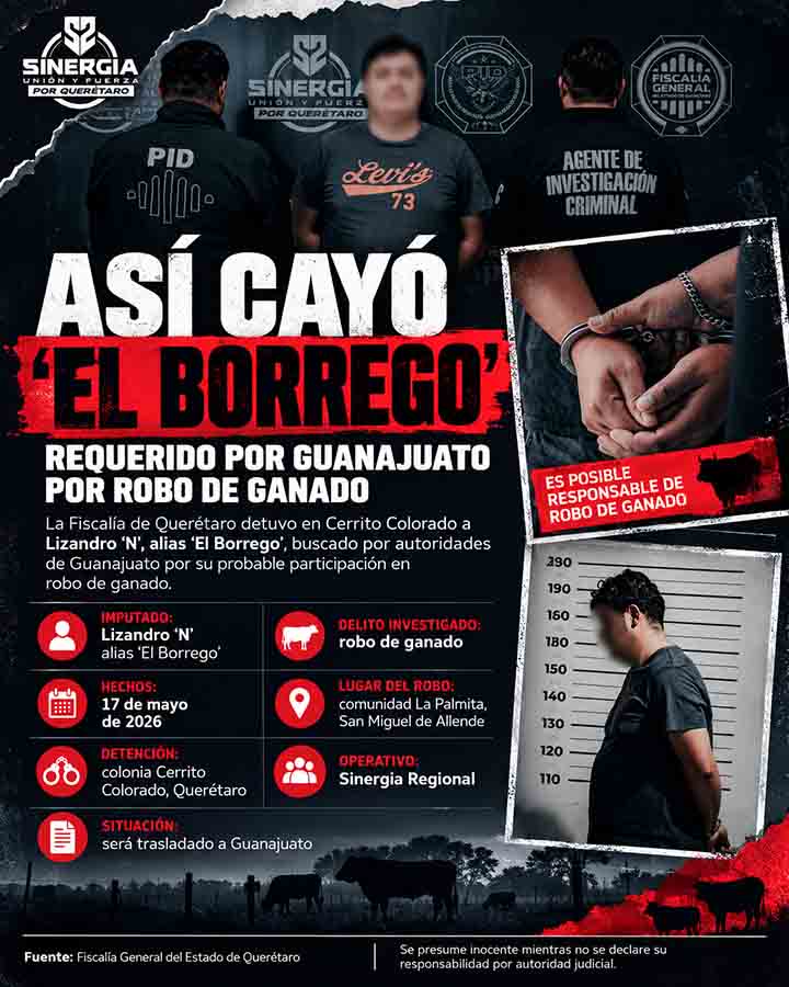 Infografía de Voz y Testimonio: Detienen a “El Borrego” por robo de ganado