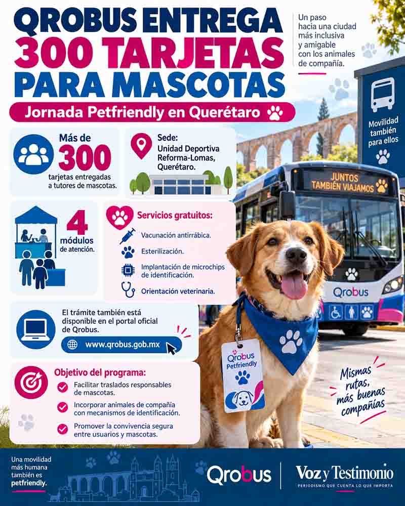Infografía informativa de Qrobus entrega más de 300 tarjetas para mascotas