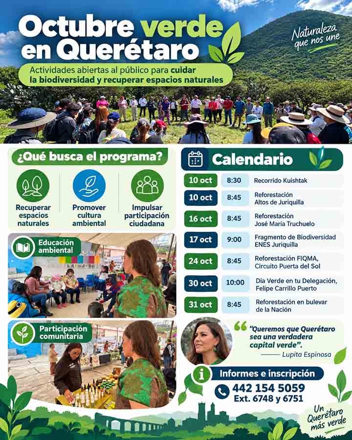 Infografía informativa de Voz y Testimonio